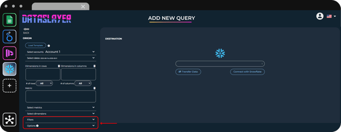 Filter and advanced options section for the data query.