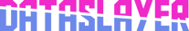 Dataslayer_New_Logo.png]